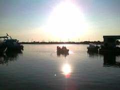 PLIMBARI IN DELTA 2013